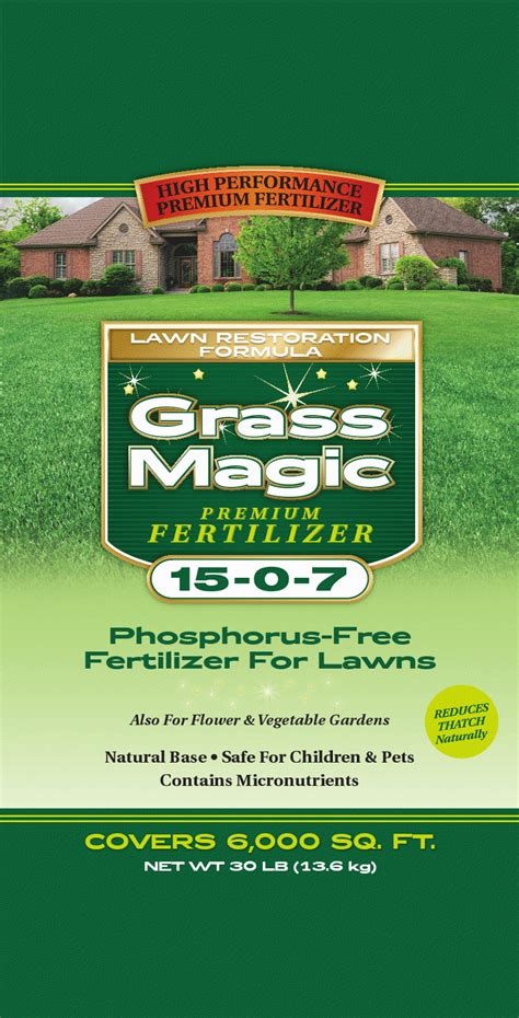 The Sorcerer's Guide to Lush Lawns: Magical Techniques for Grass Growth